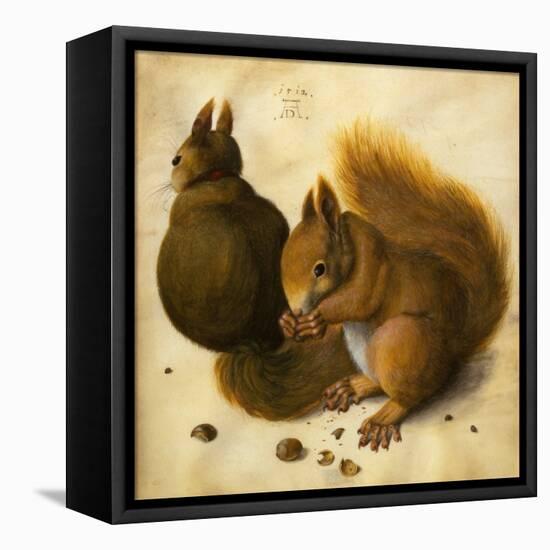 Two Squirrels, One Eating a Hazelnut black chalk, watercolor and bodycolour on vellum-Hans Hoffmann-Framed Premier Image Canvas