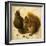 Two Squirrels, One Eating a Hazelnut black chalk, watercolor and bodycolour on vellum-Hans Hoffmann-Framed Giclee Print