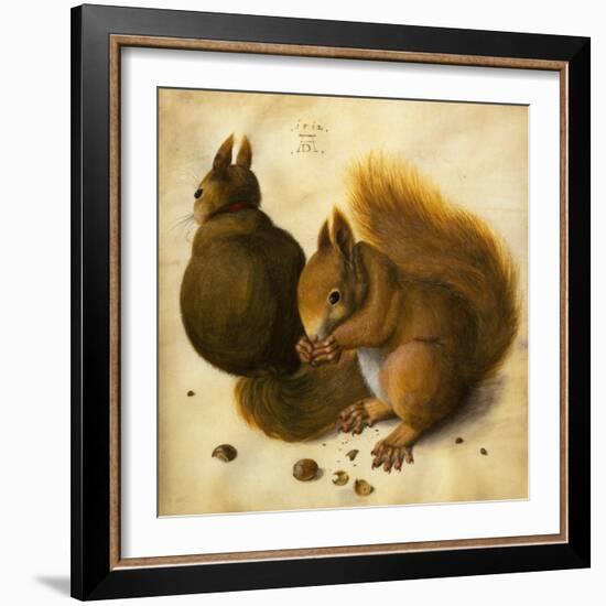 Two Squirrels, One Eating a Hazelnut black chalk, watercolor and bodycolour on vellum-Hans Hoffmann-Framed Giclee Print