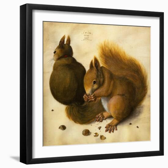 Two Squirrels, One Eating a Hazelnut black chalk, watercolor and bodycolour on vellum-Hans Hoffmann-Framed Giclee Print