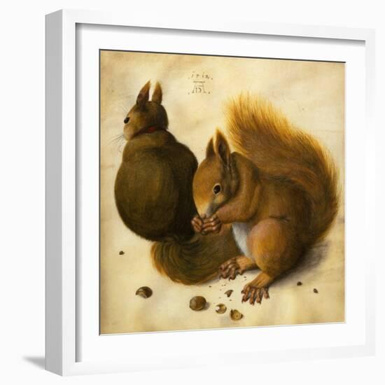 Two Squirrels, One Eating a Hazelnut black chalk, watercolor and bodycolour on vellum-Hans Hoffmann-Framed Giclee Print