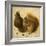 Two Squirrels, One Eating a Hazelnut-Hans Hoffmann-Framed Giclee Print