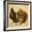 Two Squirrels, One Eating a Hazelnut-Hans Hoffmann-Framed Giclee Print