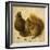 Two Squirrels, One Eating a Hazelnut-Hans Hoffmann-Framed Giclee Print