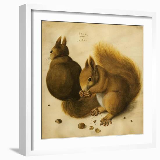 Two Squirrels, One Eating a Hazelnut-Hans Hoffmann-Framed Giclee Print