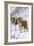 Two St Bernards in Snow-Louis Agassiz Fuertes-Framed Art Print