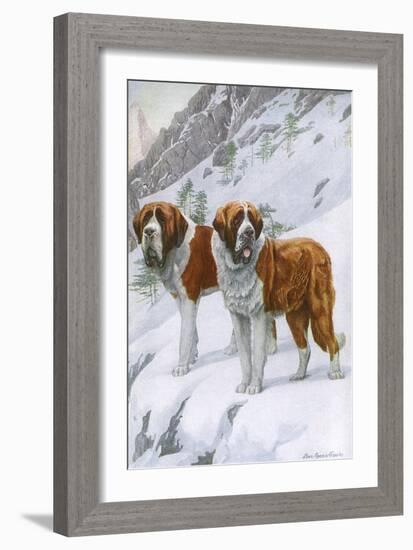 Two St Bernards in Snow-Louis Agassiz Fuertes-Framed Art Print