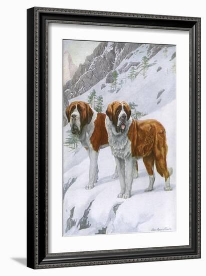 Two St Bernards in Snow-Louis Agassiz Fuertes-Framed Art Print