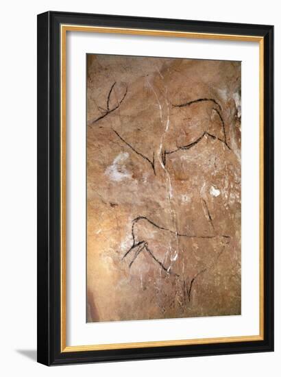 Two Stags, from the Caves of Altamira, C.15000 BC (Cave Painting)-Prehistoric Prehistoric-Framed Giclee Print