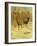 Two Stags in a Clearing in Winter-Rosa Bonheur-Framed Giclee Print