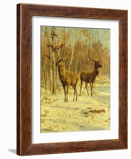 Two Stags in a Clearing in Winter-Rosa Bonheur-Framed Giclee Print