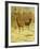 Two Stags in a Clearing in Winter-Rosa Bonheur-Framed Giclee Print