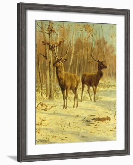 Two Stags in a Clearing in Winter-Rosa Bonheur-Framed Giclee Print