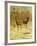 Two Stags in a Clearing in Winter-Rosa Bonheur-Framed Giclee Print