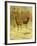 Two Stags in a Clearing in Winter-Rosa Bonheur-Framed Giclee Print