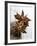 Two Star Anise-Victoria Firmston-Framed Photographic Print