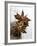 Two Star Anise-Victoria Firmston-Framed Photographic Print