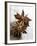 Two Star Anise-Victoria Firmston-Framed Photographic Print