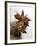 Two Star Anise-Victoria Firmston-Framed Photographic Print