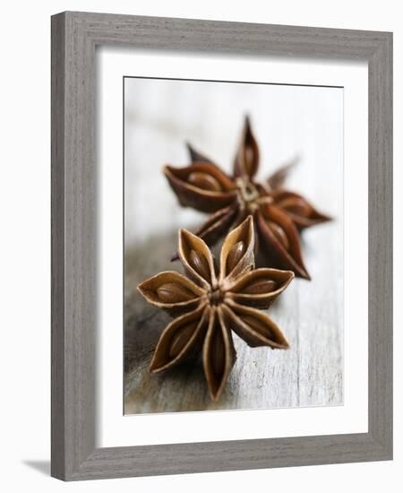 Two Star Anise-Victoria Firmston-Framed Photographic Print