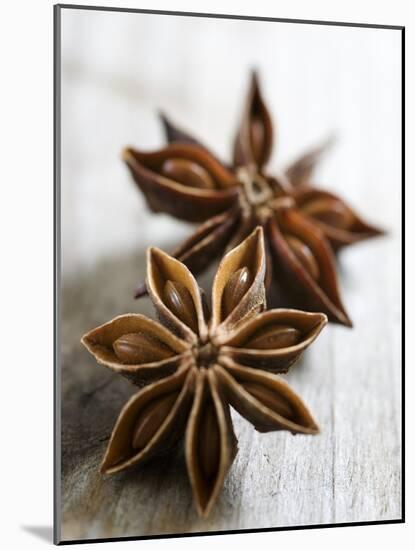 Two Star Anise-Victoria Firmston-Mounted Photographic Print