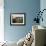 Two Steers Try to Keep Cool in a Small Area of Water on a Family Farm-null-Framed Photographic Print displayed on a wall