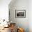 Two Steers Try to Keep Cool in a Small Area of Water on a Family Farm-null-Framed Photographic Print displayed on a wall