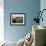 Two Steers Try to Keep Cool in a Small Area of Water on a Family Farm-null-Framed Photographic Print displayed on a wall