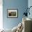 Two Steers Try to Keep Cool in a Small Area of Water on a Family Farm-null-Framed Photographic Print displayed on a wall