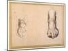 Two Studies of a Foot in Foreshortening-Agostino Carracci-Mounted Giclee Print