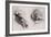 Two Studies of Horses' Heads-John Singer Sargent-Framed Giclee Print