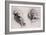 Two Studies of Horses' Heads-John Singer Sargent-Framed Giclee Print