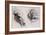 Two Studies of Horses' Heads-John Singer Sargent-Framed Giclee Print