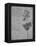 'Two Studies of Rushes in Seed, c1480 (1945)-Leonardo Da Vinci-Framed Premier Image Canvas