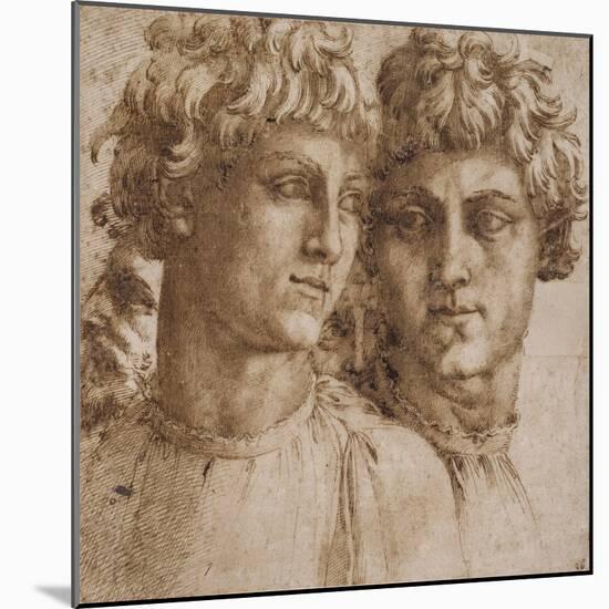 Two Studies of the Head of a Youth, C.1550-Baccio Bandinelli-Mounted Giclee Print