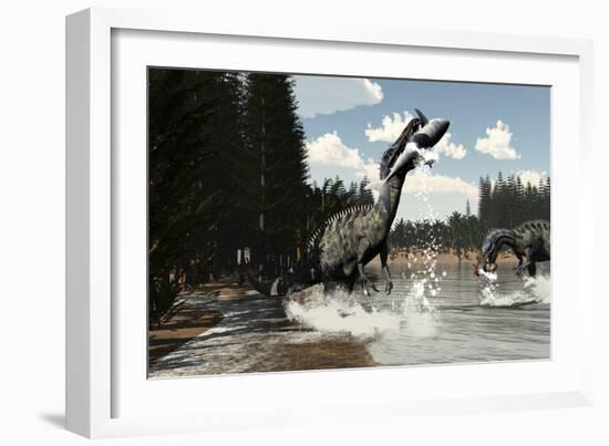 Two Suchomimus Dinosaurs Catch a Fish and Shark-Stocktrek Images-Framed Art Print