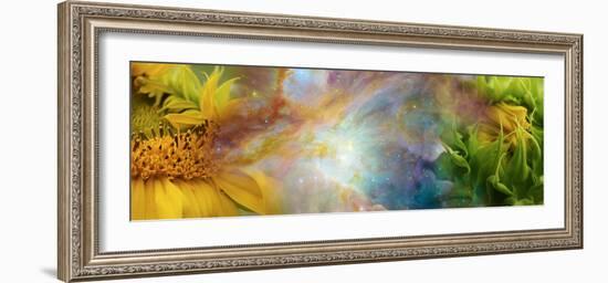 Two Sunflowers with Gaseous Nebula-null-Framed Photographic Print