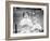 Two Survivors from the Titanic-Unknown Unknown-Framed Photographic Print