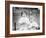 Two Survivors from the Titanic-Unknown Unknown-Framed Photographic Print