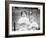 Two Survivors from the Titanic-Unknown Unknown-Framed Photographic Print