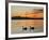 Two Swans Glide across Lake Chiemsee at Sunset near Seebruck, Germany-Diether Endlicher-Framed Photographic Print