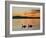 Two Swans Glide across Lake Chiemsee at Sunset near Seebruck, Germany-Diether Endlicher-Framed Photographic Print