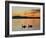 Two Swans Glide across Lake Chiemsee at Sunset near Seebruck, Germany-Diether Endlicher-Framed Photographic Print