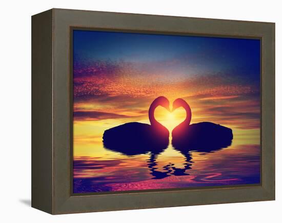 Two Swans Making a Heart Shape at Sunset. Valentine's Day Romantic Concept-Michal Bednarek-Framed Premier Image Canvas