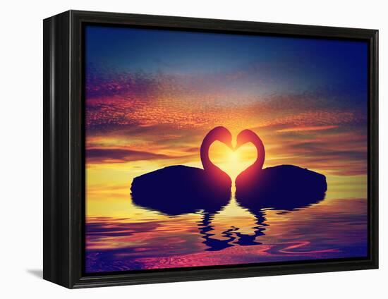 Two Swans Making a Heart Shape at Sunset. Valentine's Day Romantic Concept-Michal Bednarek-Framed Premier Image Canvas