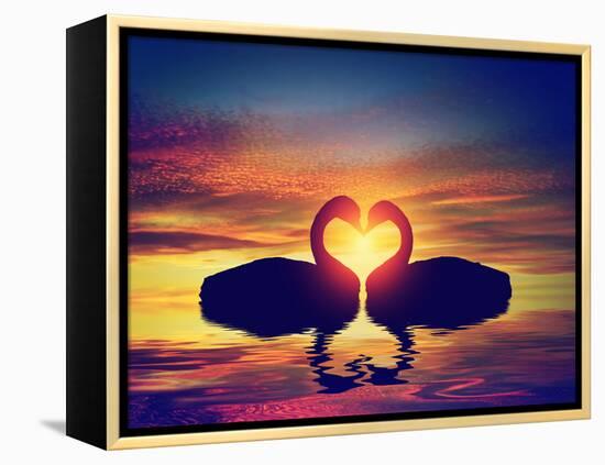 Two Swans Making a Heart Shape at Sunset. Valentine's Day Romantic Concept-Michal Bednarek-Framed Premier Image Canvas