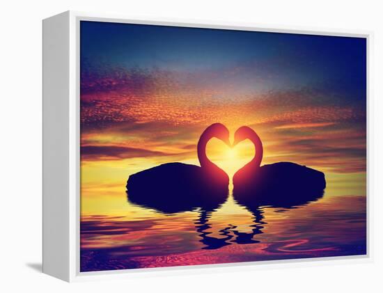 Two Swans Making a Heart Shape at Sunset. Valentine's Day Romantic Concept-Michal Bednarek-Framed Premier Image Canvas