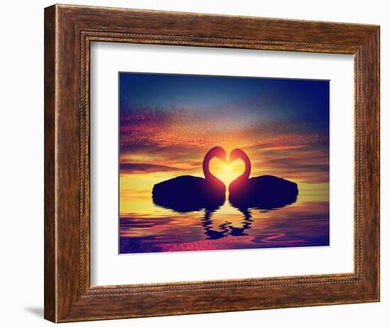 Two Swans Making a Heart Shape at Sunset. Valentine's Day Romantic Concept-Michal Bednarek-Framed Photographic Print