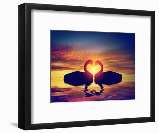 Two Swans Making a Heart Shape at Sunset. Valentine's Day Romantic Concept-Michal Bednarek-Framed Photographic Print