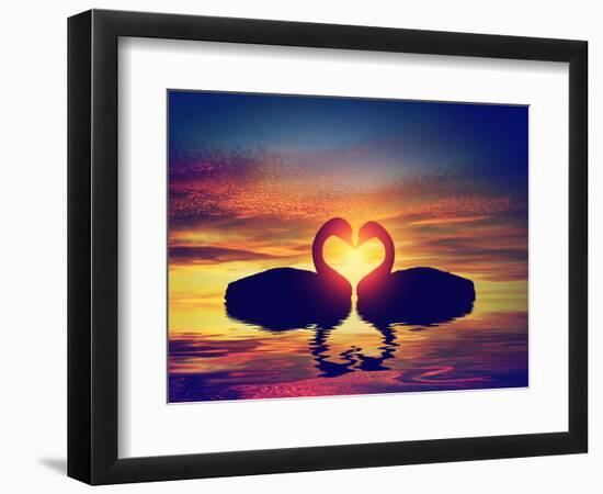 Two Swans Making a Heart Shape at Sunset. Valentine's Day Romantic Concept-Michal Bednarek-Framed Photographic Print